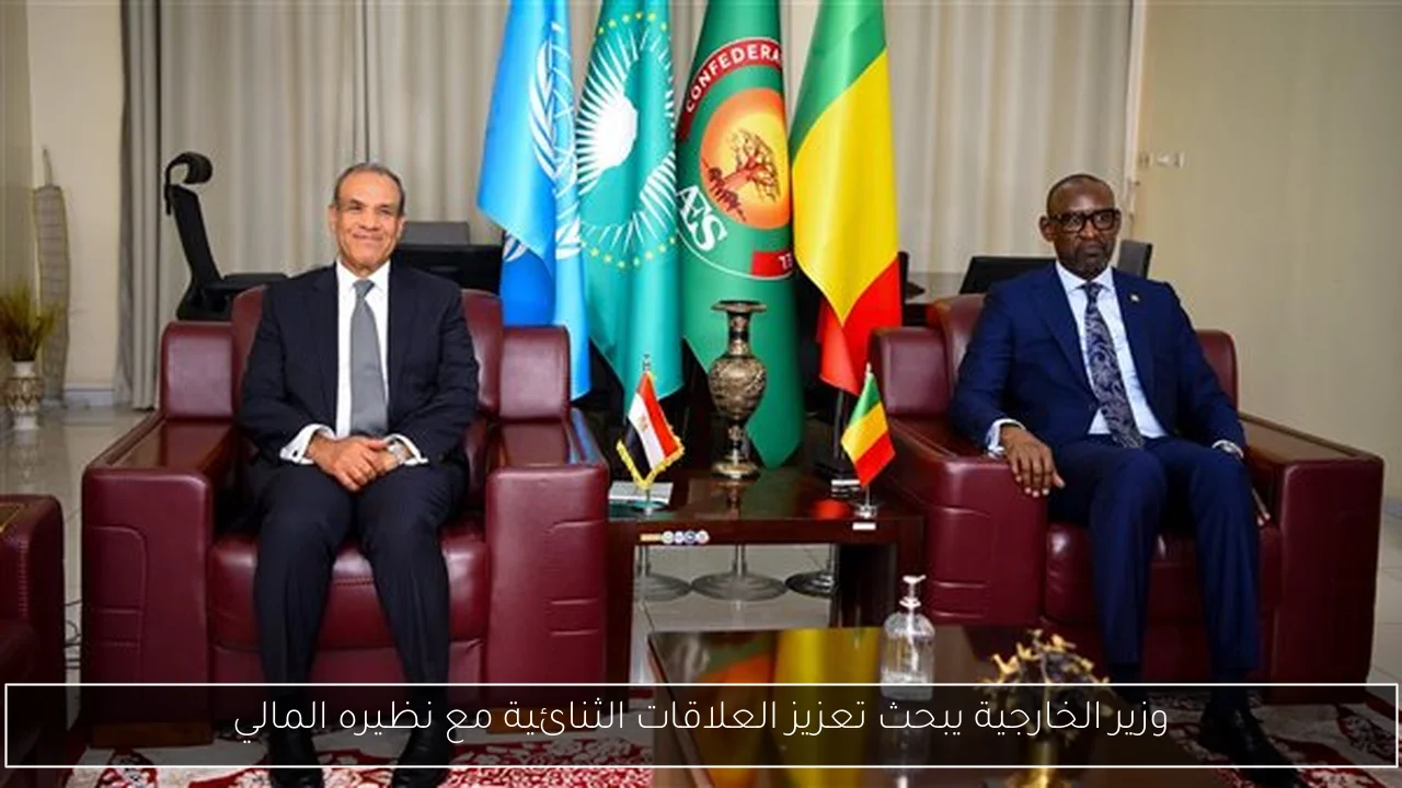 وزير الخارجية يبحث تعزيز العلاقات الثنائية مع نظيره المالي