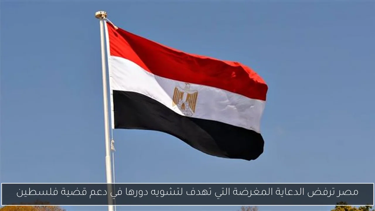 مصر ترفض الدعاية المغرضة التي تهدف لتشويه دورها في دعم قضية فلسطين