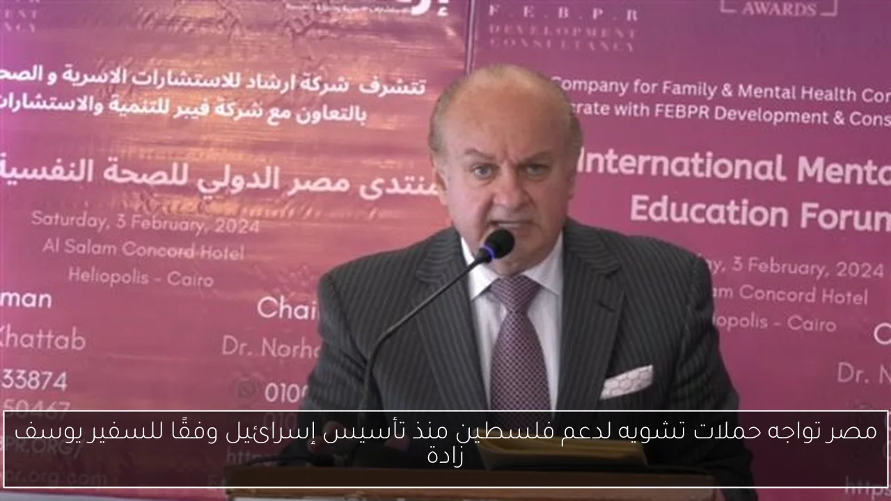 مصر تواجه حملات تشويه لدعم فلسطين منذ تأسيس إسرائيل وفقًا للسفير يوسف زادة