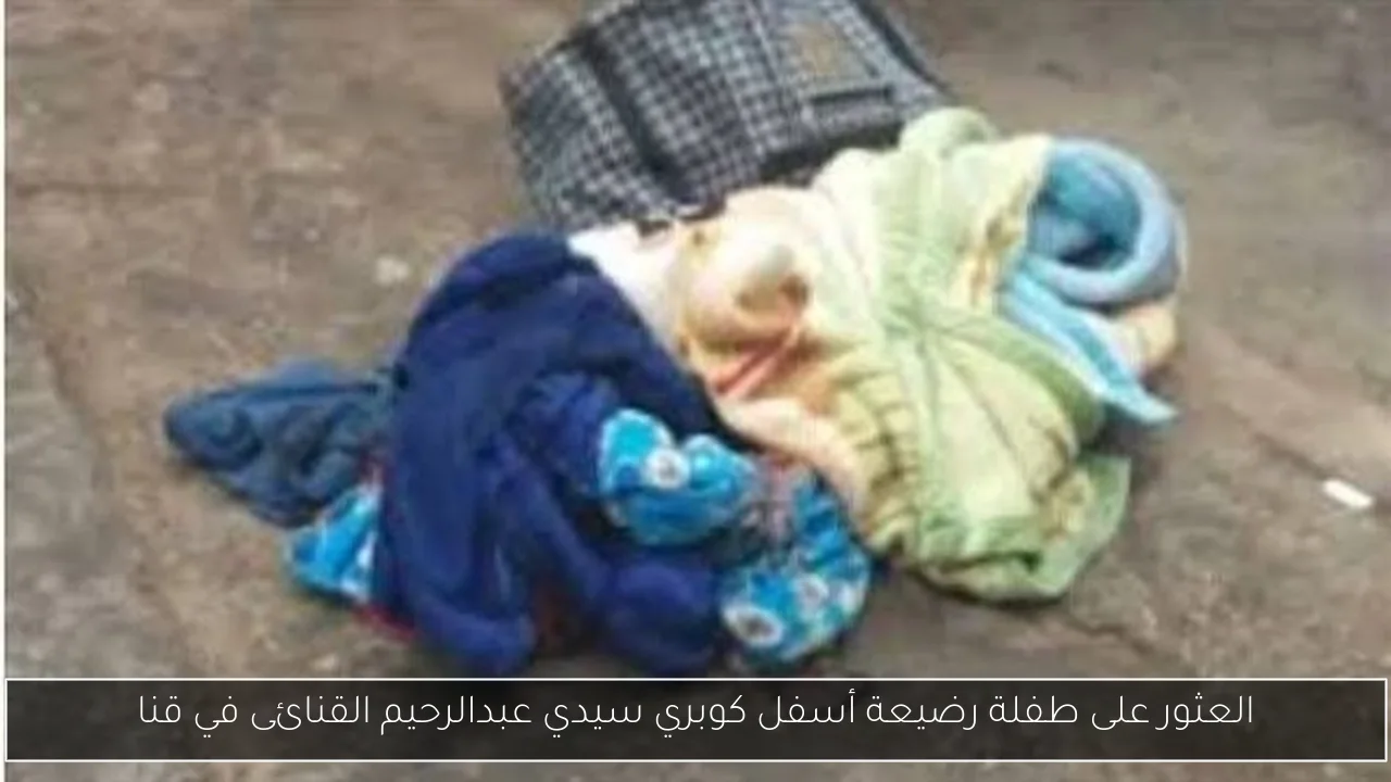 العثور على طفلة رضيعة أسفل كوبري سيدي عبدالرحيم القنائى في قنا