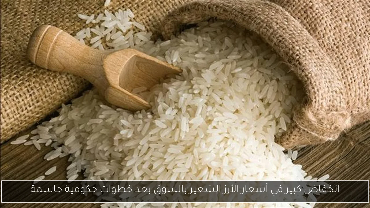 انخفاض كبير في أسعار الأرز الشعير بالسوق بعد خطوات حكومية حاسمة