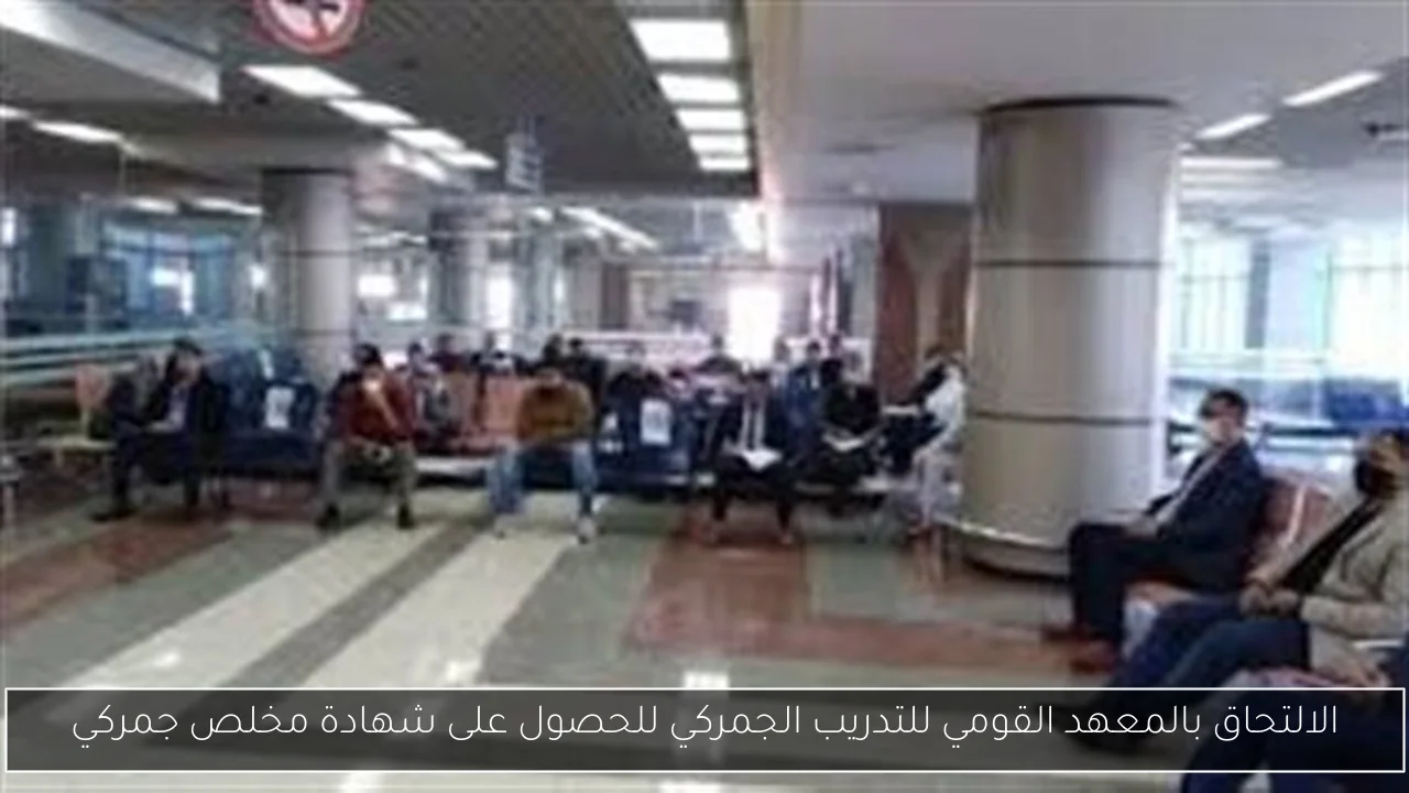 الالتحاق بالمعهد القومي للتدريب الجمركي للحصول على شهادة مخلص جمركي