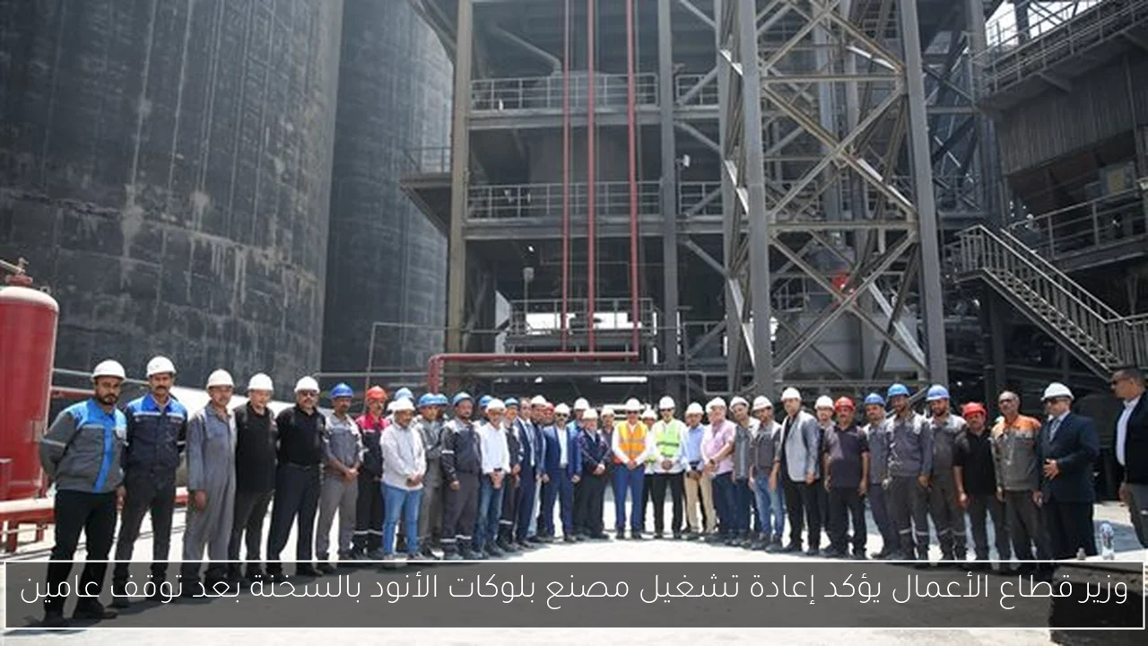 وزير قطاع الأعمال يؤكد إعادة تشغيل مصنع بلوكات الأنود بالسخنة بعد توقف عامين