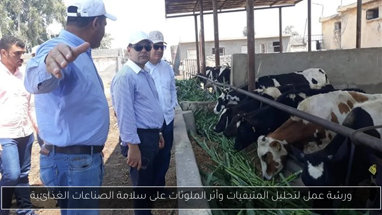 ورشة عمل لتحليل المتبقيات وأثر الملوثات على سلامة الصناعات الغذائية