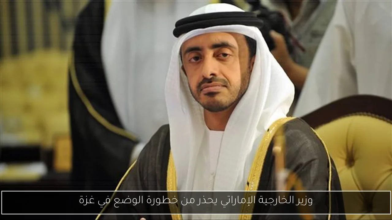 وزير الخارجية الإماراتي يحذر من خطورة الوضع في غزة