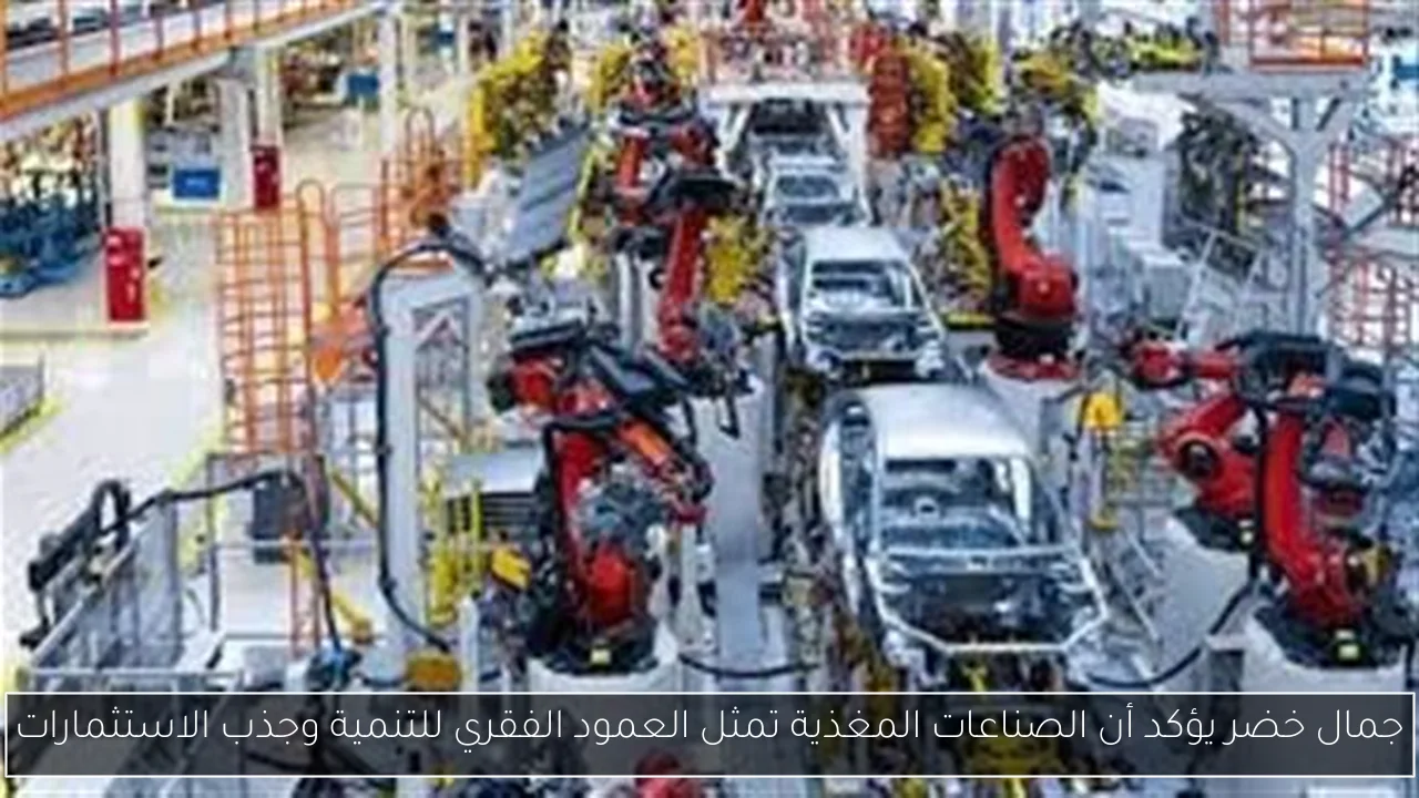 جمال خضر يؤكد أن الصناعات المغذية تمثل العمود الفقري للتنمية وجذب الاستثمارات