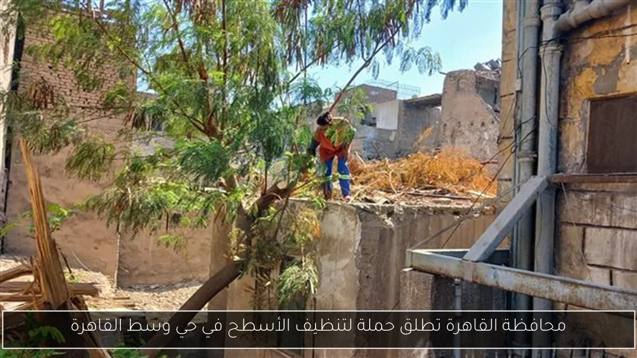 محافظة القاهرة تطلق حملة لتنظيف الأسطح في حي وسط القاهرة