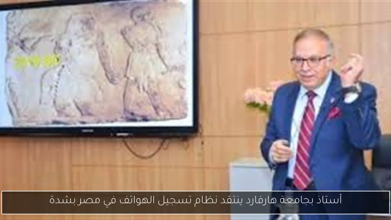 أستاذ بجامعة هارفارد ينتقد نظام تسجيل الهواتف في مصر بشدة