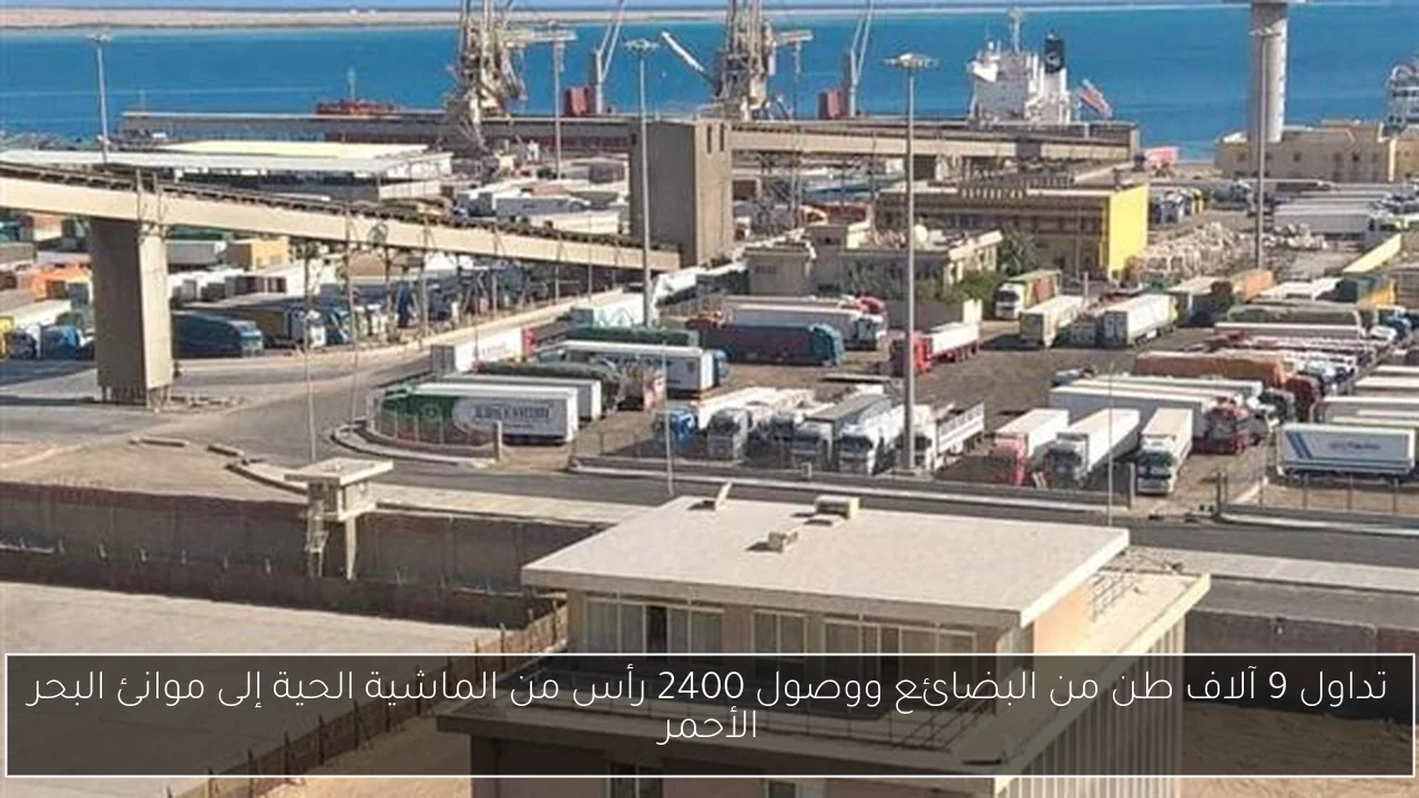 تداول 9 آلاف طن من البضائع ووصول 2400 رأس من الماشية الحية إلى موانئ البحر الأحمر