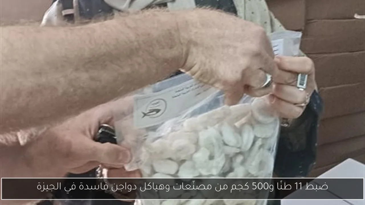 ضبط 11 طنًا و500 كجم من مصنّعات وهياكل دواجن فاسدة في الجيزة