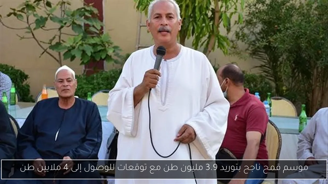 موسم قمح ناجح بتوريد 3.9 مليون طن مع توقعات للوصول إلى 4 ملايين طن