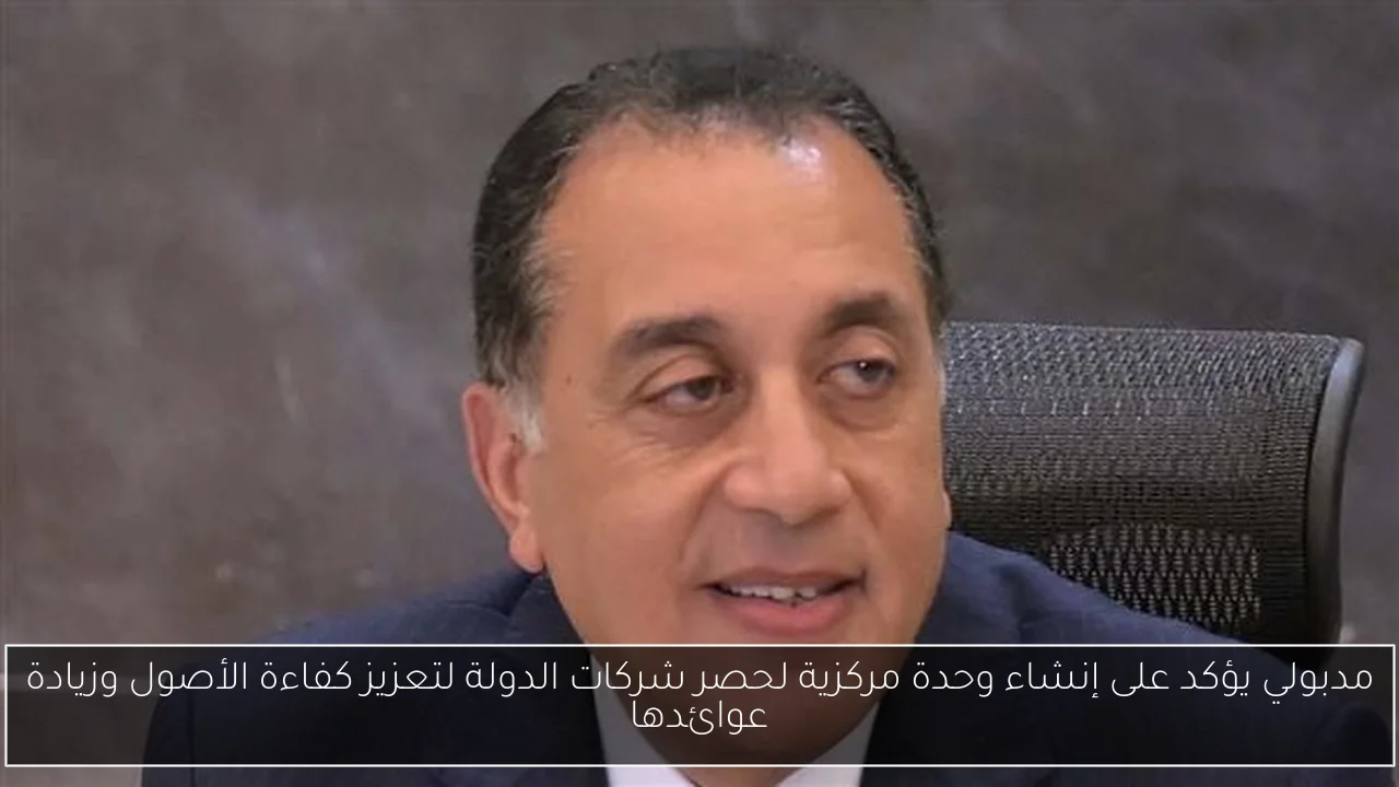 مدبولي يؤكد على إنشاء وحدة مركزية لحصر شركات الدولة لتعزيز كفاءة الأصول وزيادة عوائدها
