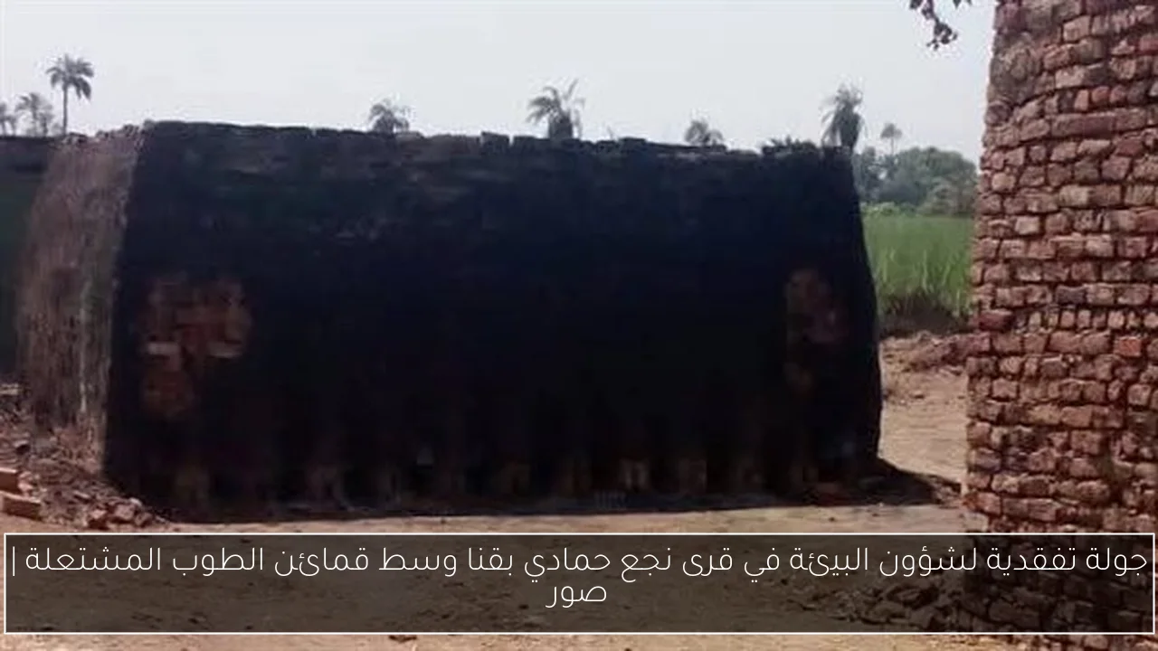 جولة تفقدية لشؤون البيئة في قرى نجع حمادي بقنا وسط قمائن الطوب المشتعلة | صور