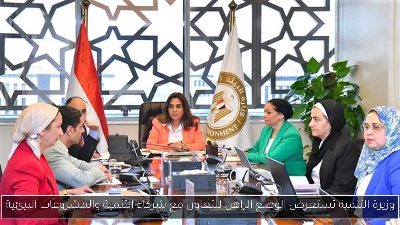 وزيرة التنمية تستعرض الوضع الراهن للتعاون مع شركاء التنمية والمشروعات البيئية