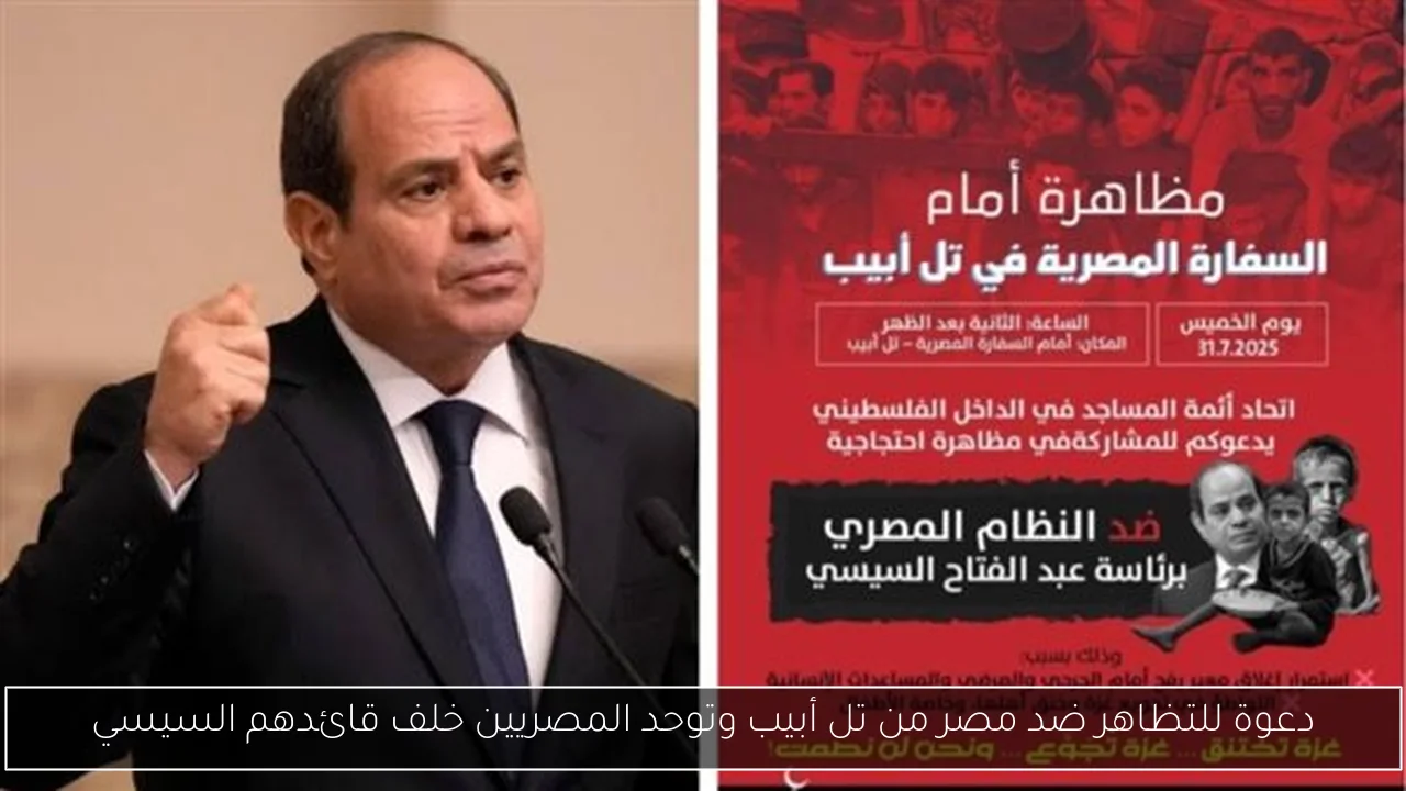 دعوة للتظاهر ضد مصر من تل أبيب وتوحد المصريين خلف قائدهم السيسي