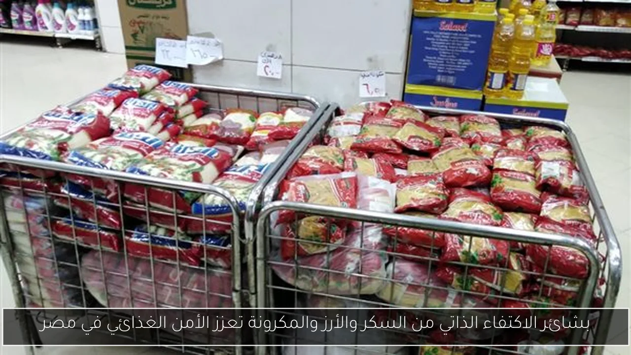 بشائر الاكتفاء الذاتي من السكر والأرز والمكرونة تعزز الأمن الغذائي في مصر