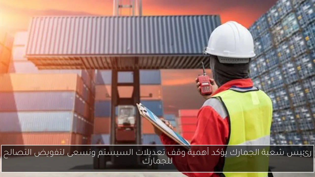 رئيس شعبة الجمارك يؤكد أهمية وقف تعديلات السيستم ونسعى لتفويض التصالح للجمارك