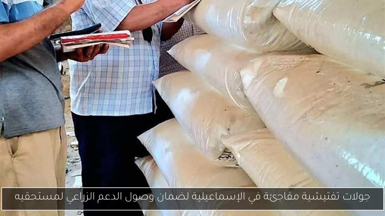 جولات تفتيشية مفاجئة في الإسماعيلية لضمان وصول الدعم الزراعي لمستحقيه