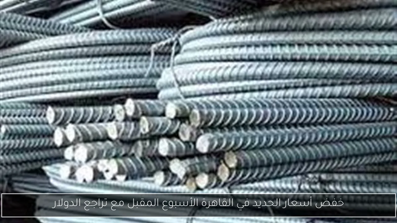 خفض أسعار الحديد في القاهرة الأسبوع المقبل مع تراجع الدولار