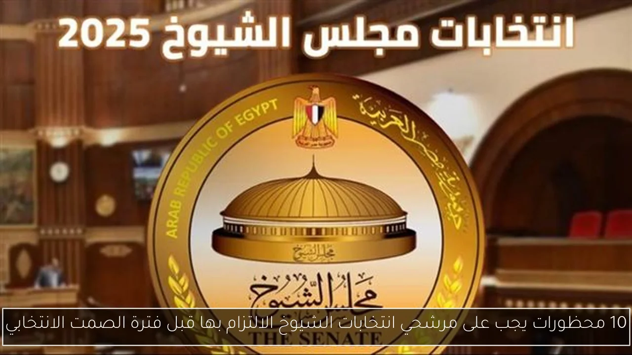 10 محظورات يجب على مرشحي انتخابات الشيوخ الالتزام بها قبل فترة الصمت الانتخابي