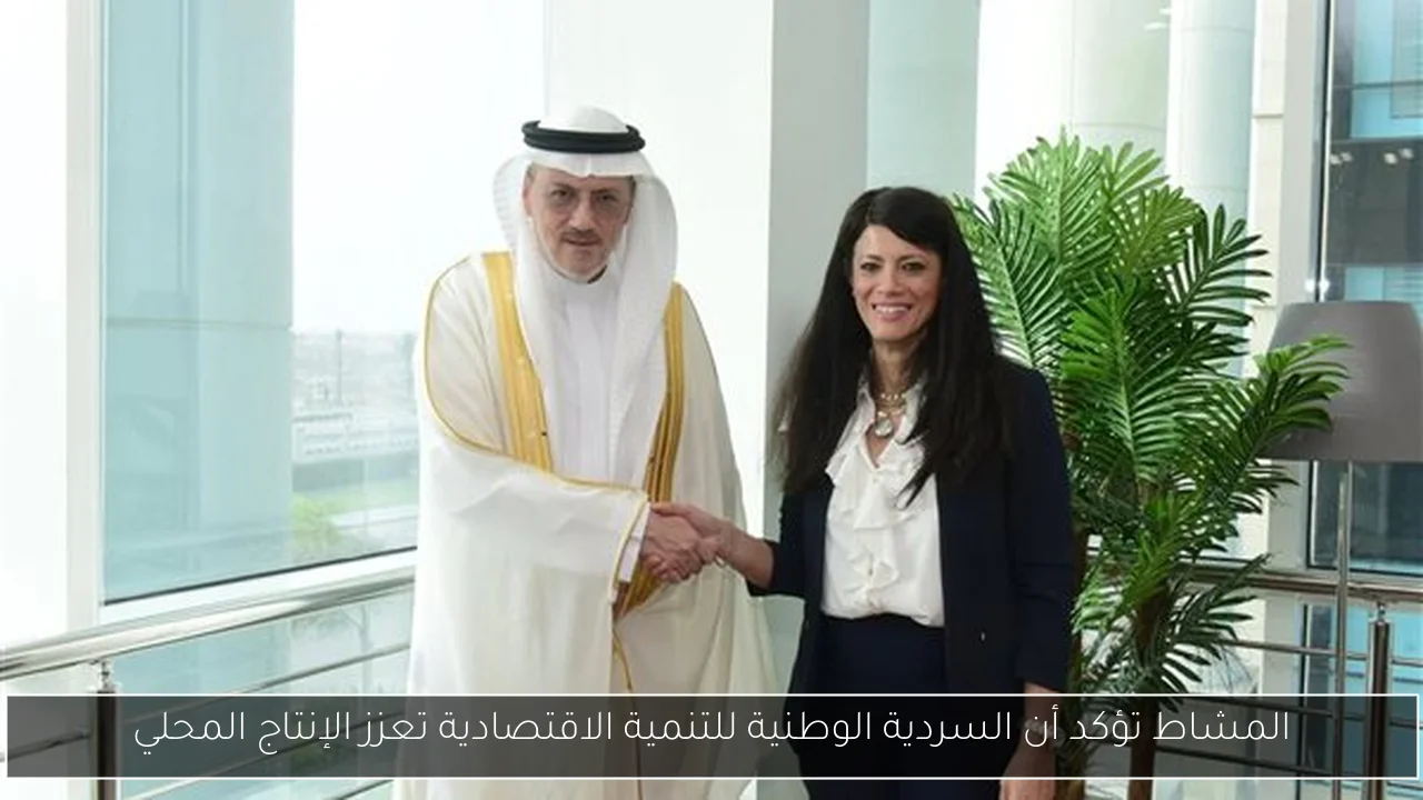 المشاط تؤكد أن السردية الوطنية للتنمية الاقتصادية تعزز الإنتاج المحلي