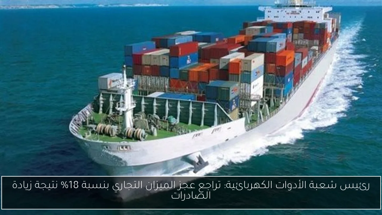 رئيس شعبة الأدوات الكهربائية: تراجع عجز الميزان التجاري بنسبة 18% نتيجة زيادة الصادرات