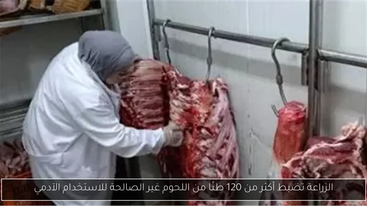 الزراعة تضبط أكثر من 120 طنًا من اللحوم غير الصالحة للاستخدام الآدمي