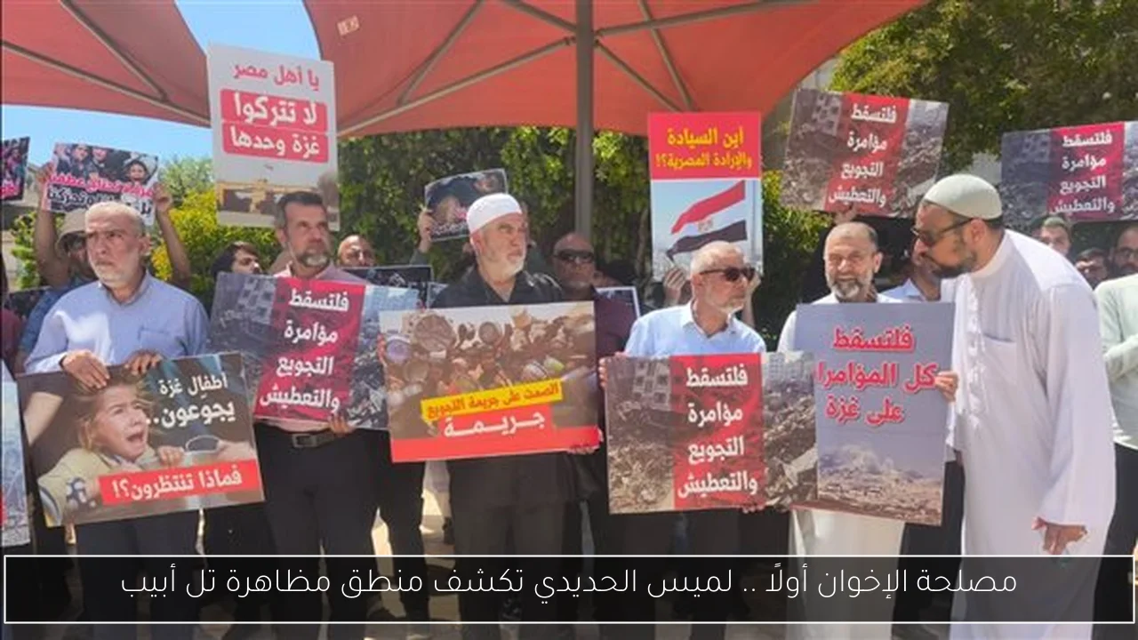مصلحة الإخوان أولًا .. لميس الحديدي تكشف منطق مظاهرة تل أبيب