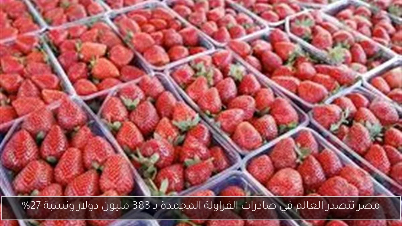 مصر تتصدر العالم في صادرات الفراولة المجمدة بـ 383 مليون دولار ونسبة 27%