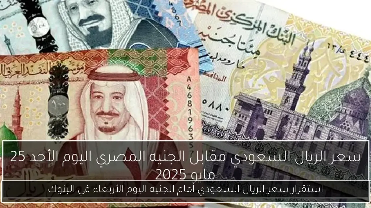 استقرار سعر الريال السعودي أمام الجنيه اليوم الأربعاء في البنوك