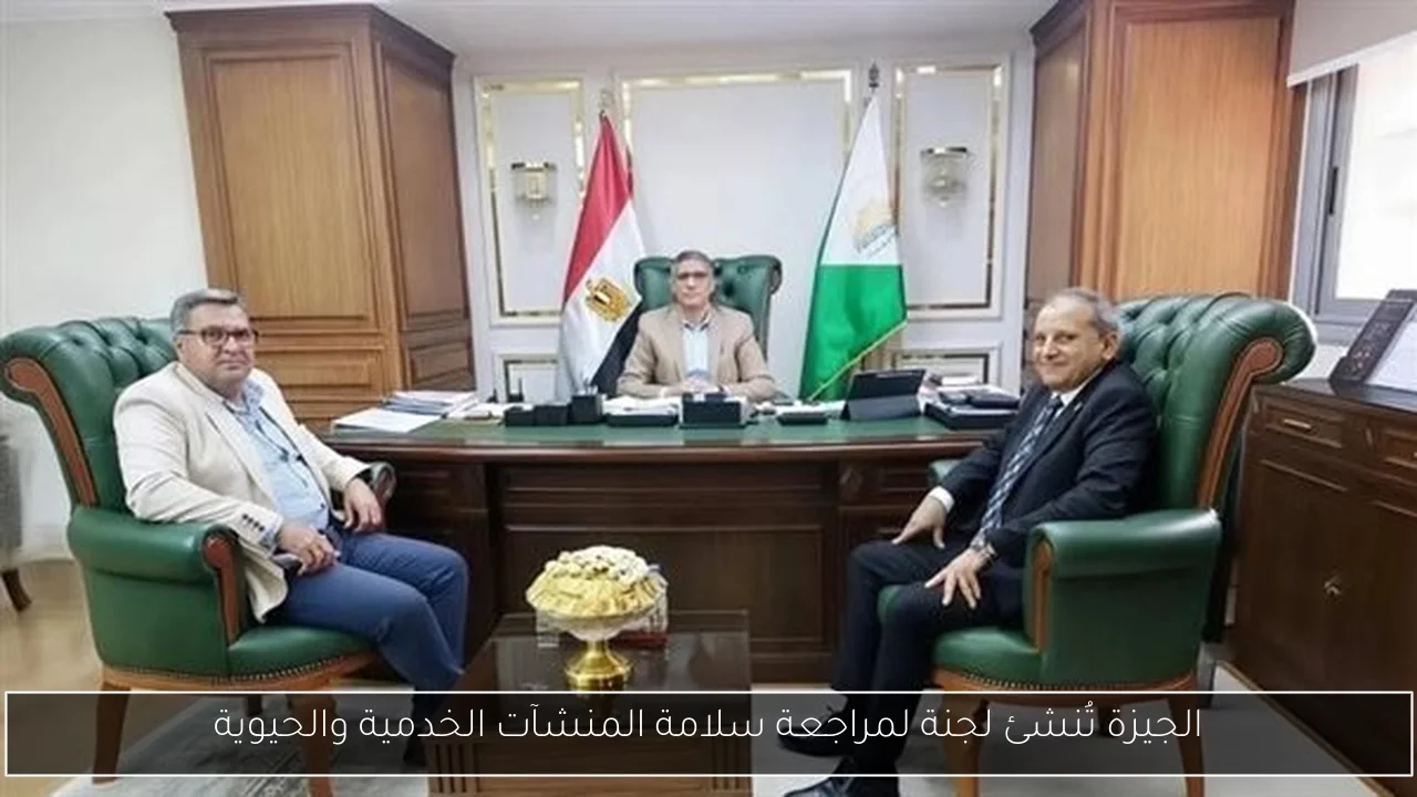 الجيزة تُنشئ لجنة لمراجعة سلامة المنشآت الخدمية والحيوية