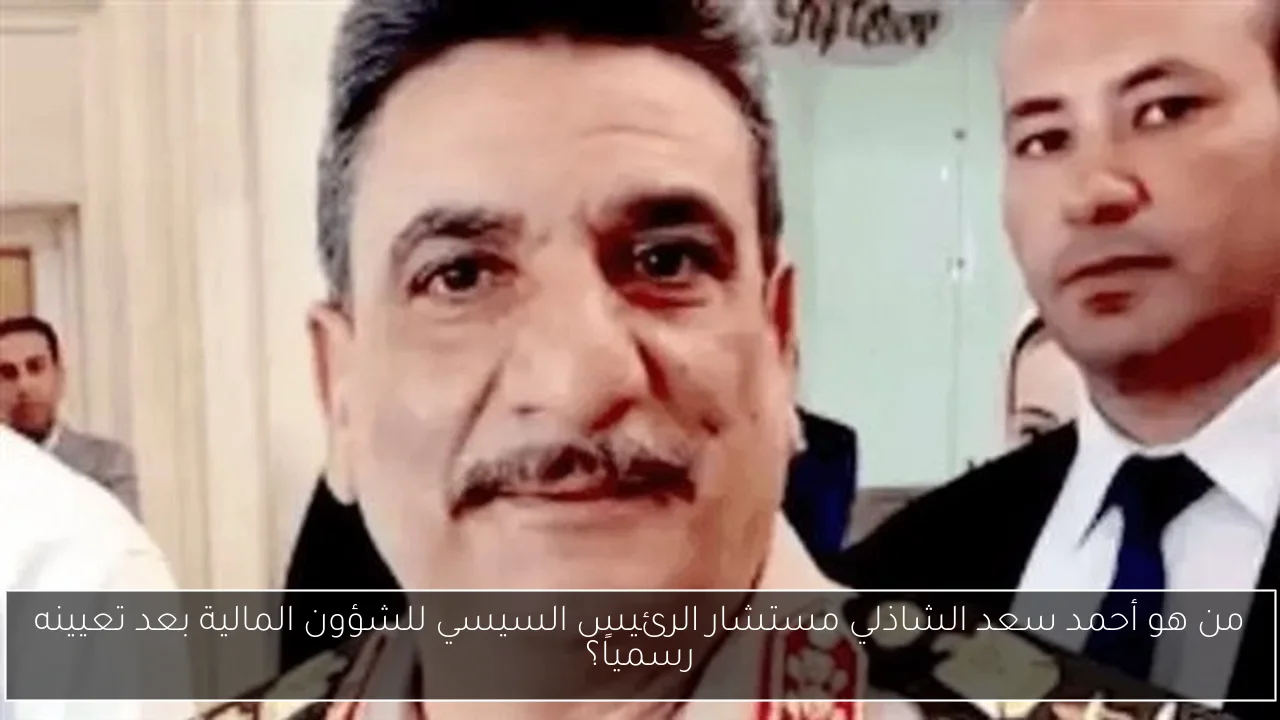 من هو أحمد سعد الشاذلي مستشار الرئيس السيسي للشؤون المالية بعد تعيينه رسمياً؟