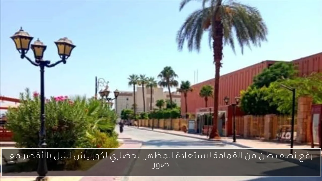 رفع نصف طن من القمامة لاستعادة المظهر الحضاري لكورنيش النيل بالأقصر مع صور