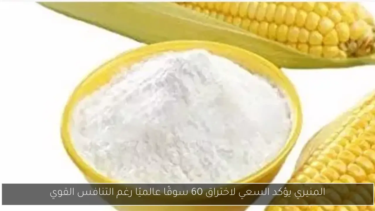 المنيري يؤكد السعي لاختراق 60 سوقًا عالميًا رغم التنافس القوي