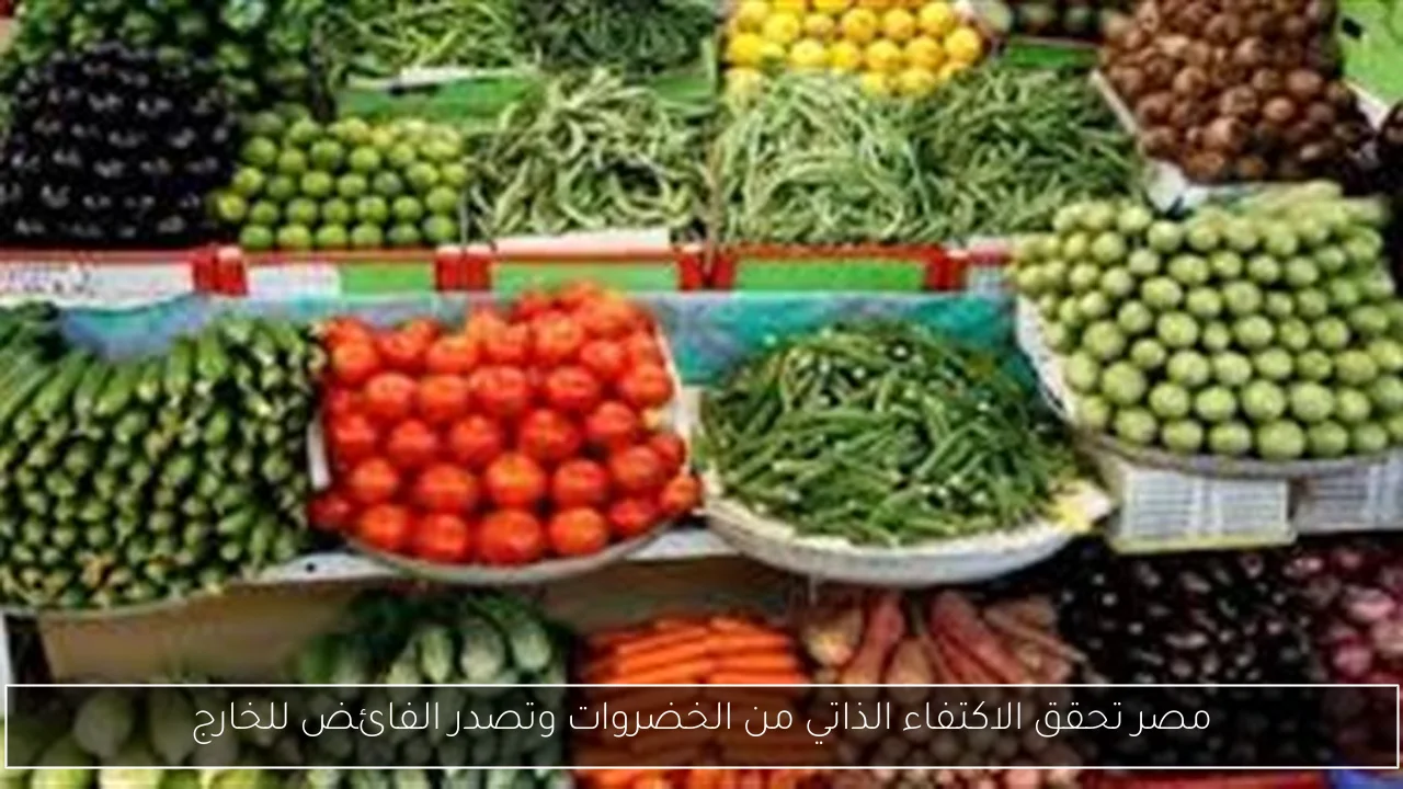 مصر تحقق الاكتفاء الذاتي من الخضروات وتصدر الفائض للخارج
