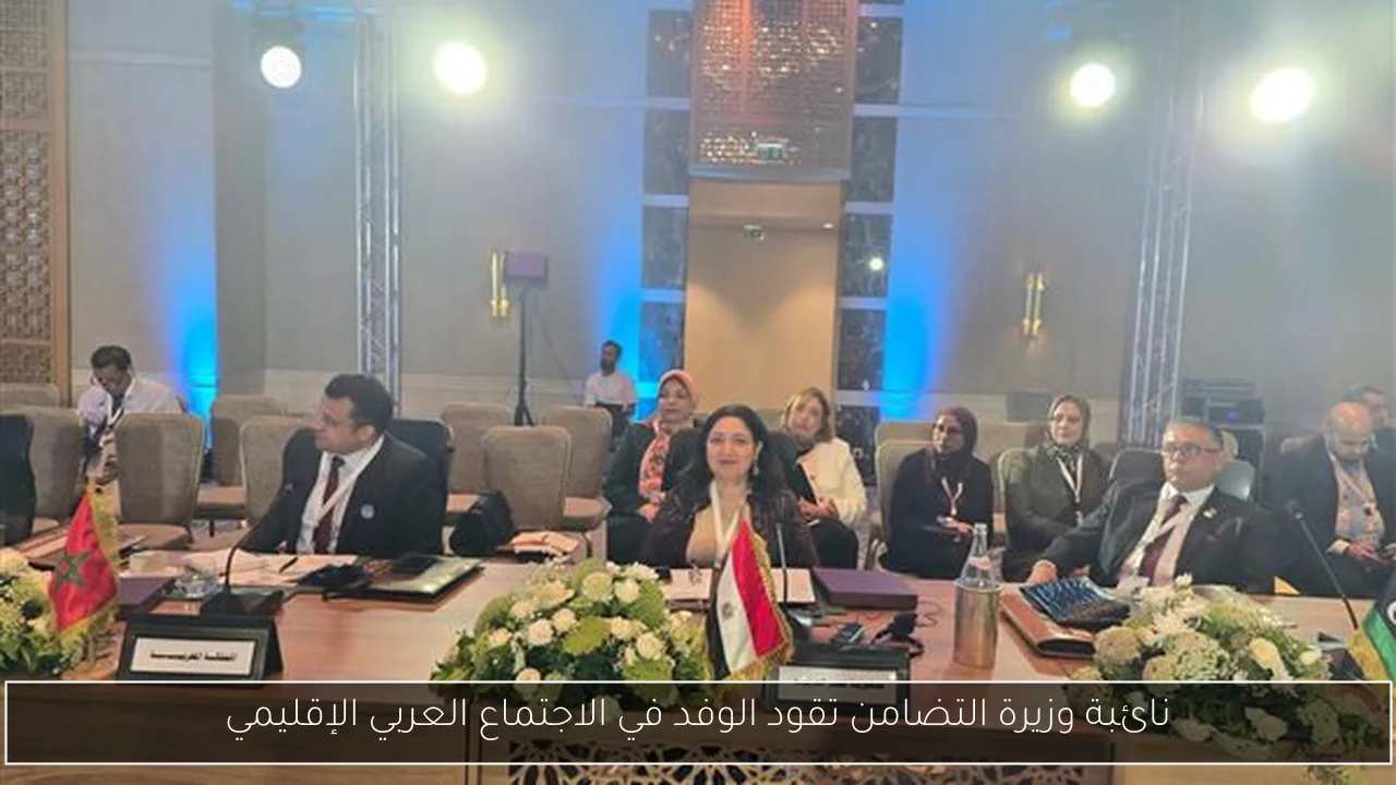 نائبة وزيرة التضامن تقود الوفد في الاجتماع العربي الإقليمي