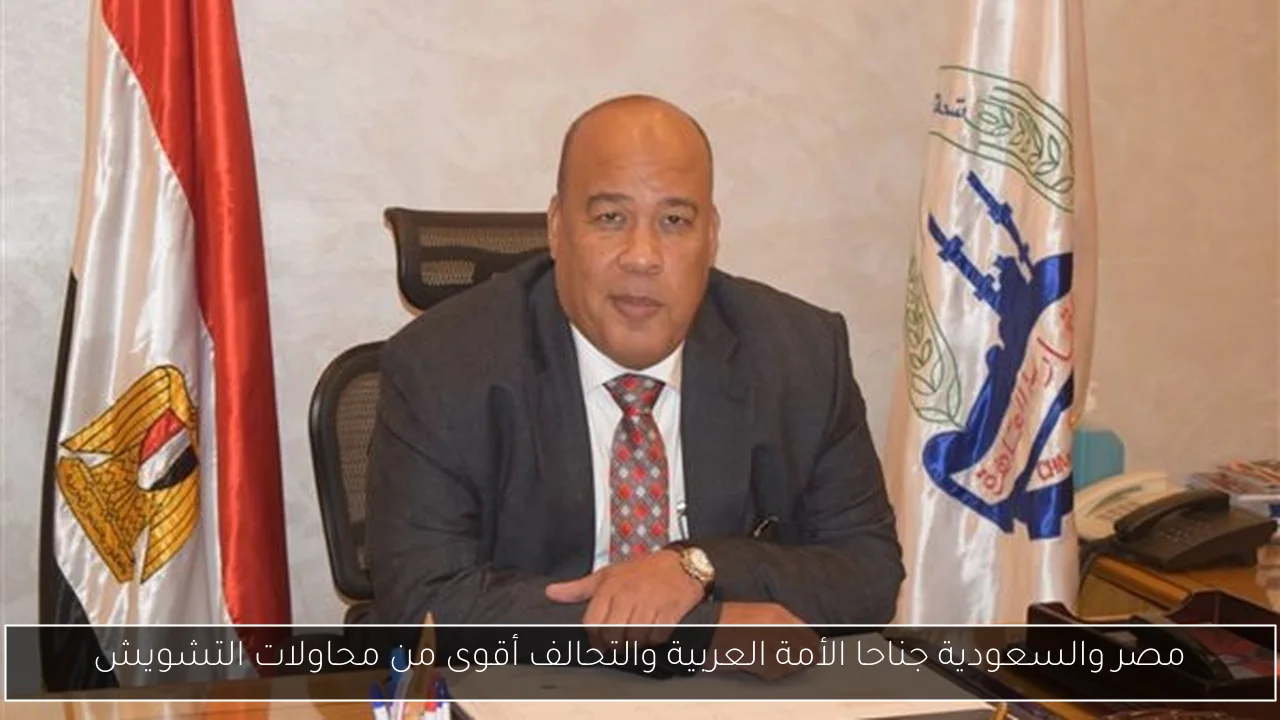 مصر والسعودية جناحا الأمة العربية والتحالف أقوى من محاولات التشويش