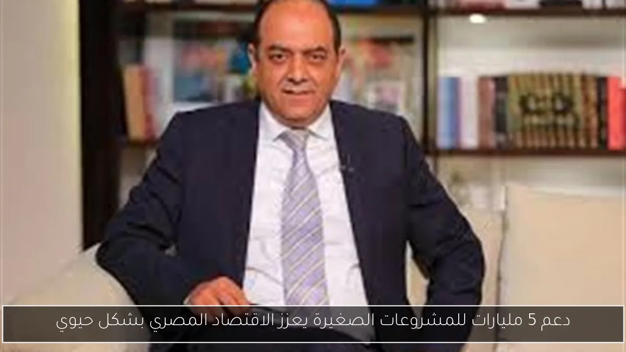دعم 5 مليارات للمشروعات الصغيرة يعزز الاقتصاد المصري بشكل حيوي