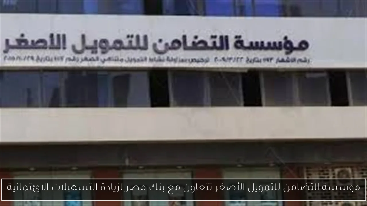 مؤسسة التضامن للتمويل الأصغر تتعاون مع بنك مصر لزيادة التسهيلات الائتمانية