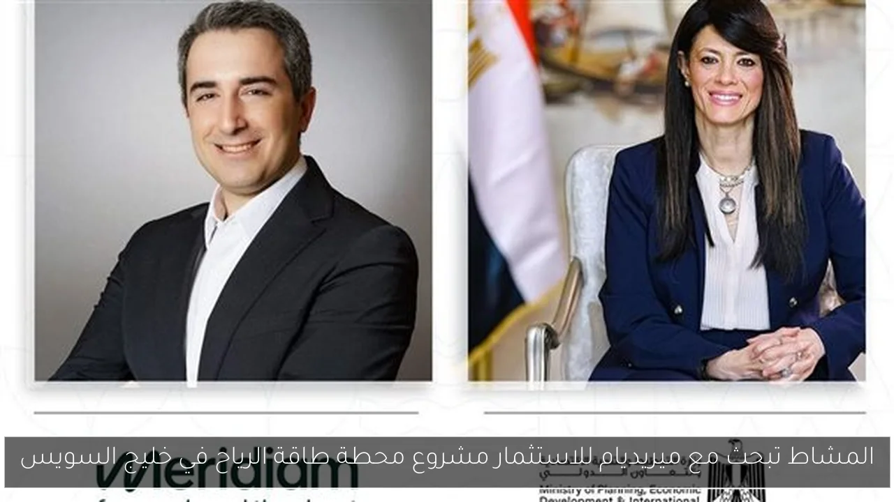 المشاط تبحث مع ميريديام للاستثمار مشروع محطة طاقة الرياح في خليج السويس