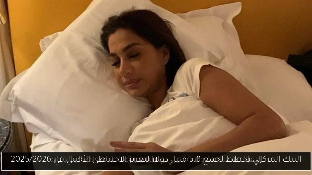 البنك المركزي يخطط لجمع 5.8 مليار دولار لتعزيز الاحتياطي الأجنبي في 2025/2026
