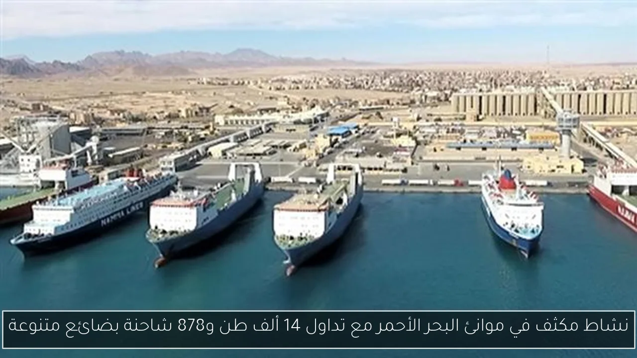 نشاط مكثف في موانئ البحر الأحمر مع تداول 14 ألف طن و878 شاحنة بضائع متنوعة