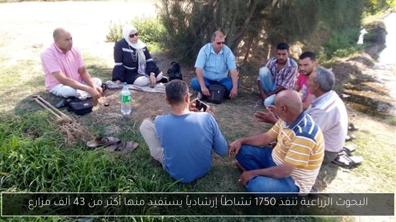 البحوث الزراعية تنفذ 1750 نشاطاً إرشادياً يستفيد منها أكثر من 43 ألف مزارع