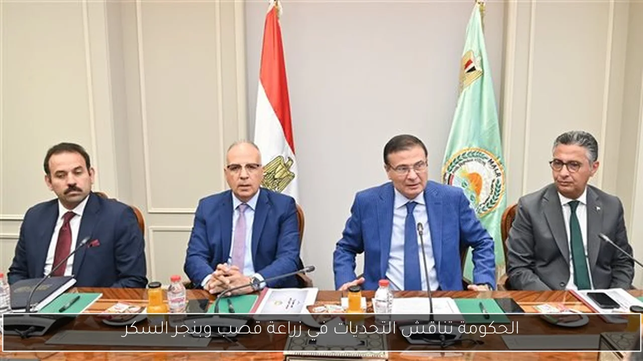 الحكومة تناقش التحديات في زراعة قصب وبنجر السكر