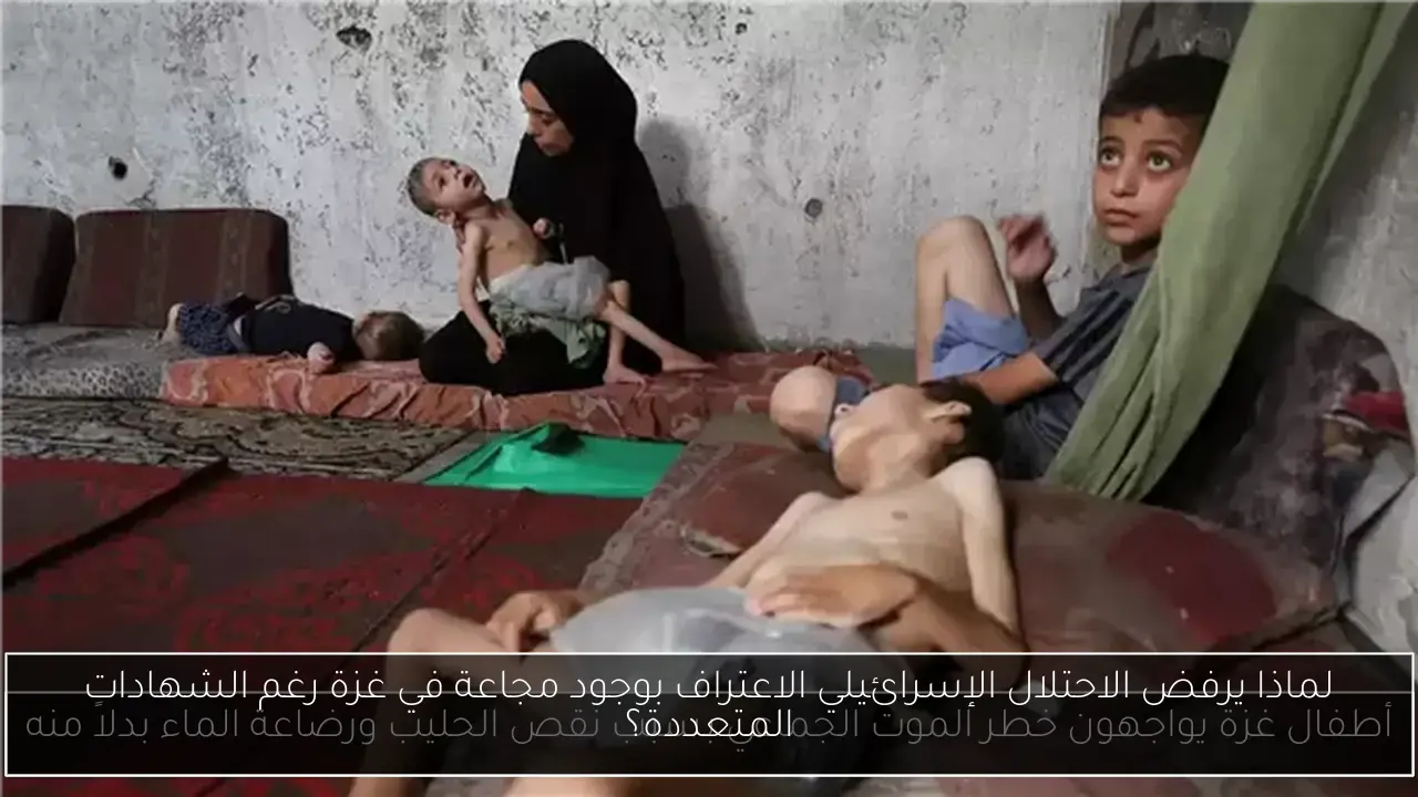 لماذا يرفض الاحتلال الإسرائيلي الاعتراف بوجود مجاعة في غزة رغم الشهادات المتعددة؟