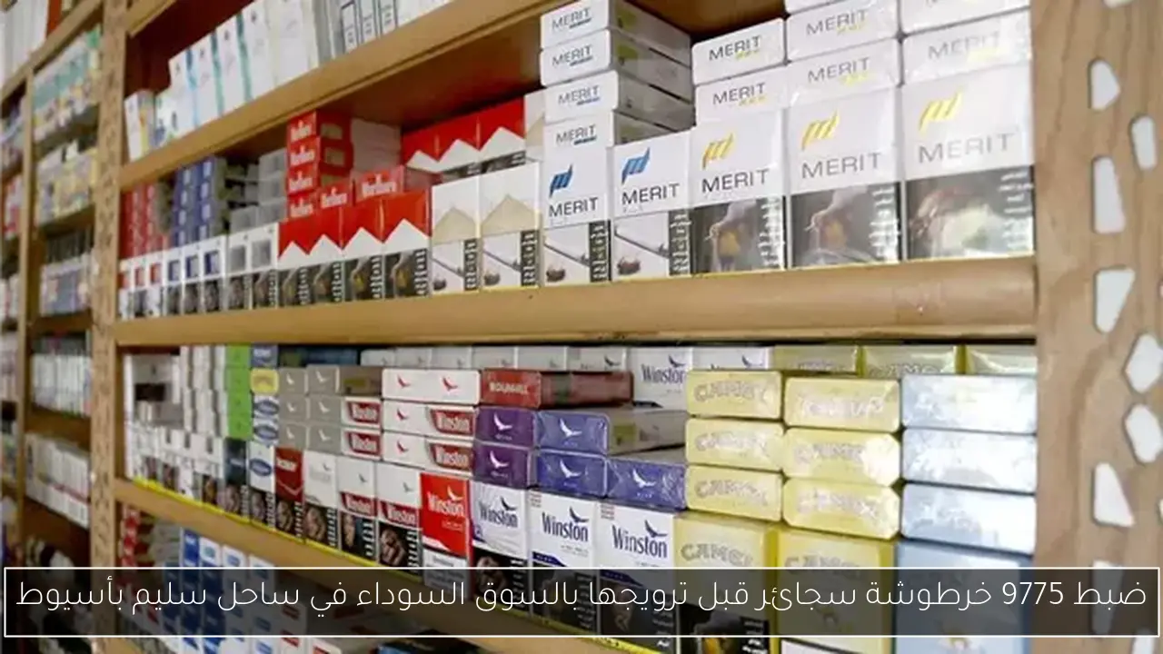 ضبط 9775 خرطوشة سجائر قبل ترويجها بالسوق السوداء في ساحل سليم بأسيوط