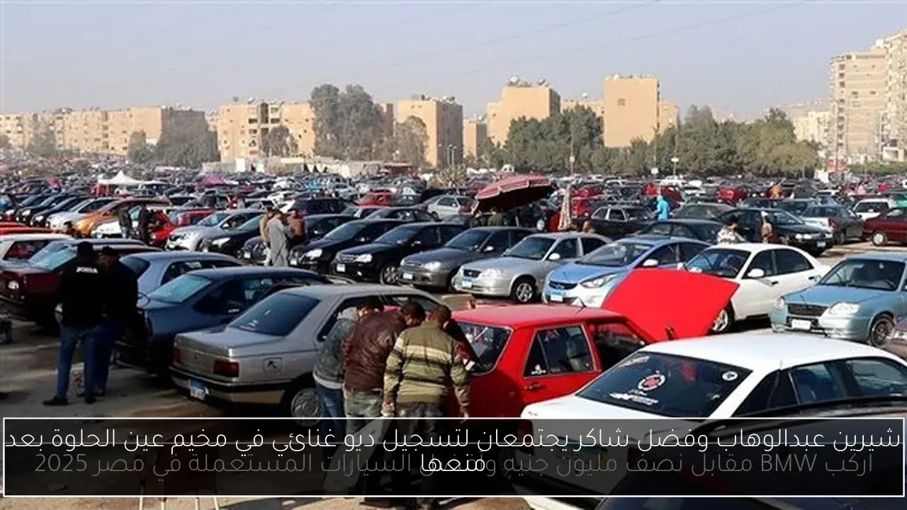 شيرين عبدالوهاب وفضل شاكر يجتمعان لتسجيل ديو غنائي في مخيم عين الحلوة بعد منعها