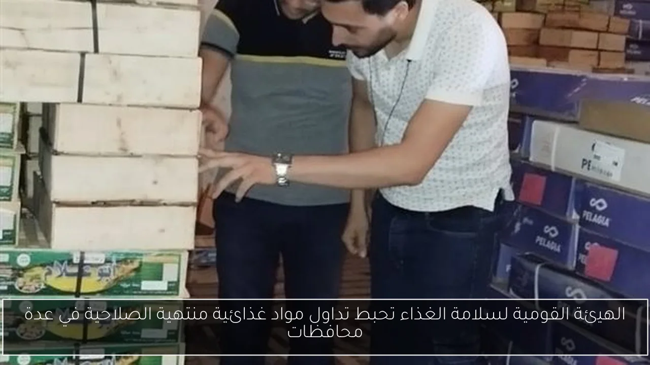 الهيئة القومية لسلامة الغذاء تحبط تداول مواد غذائية منتهية الصلاحية في عدة محافظات