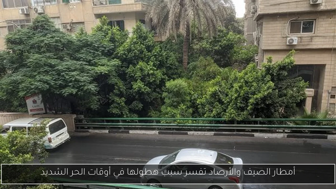 أمطار الصيف والأرصاد تفسر سبب هطولها في أوقات الحر الشديد