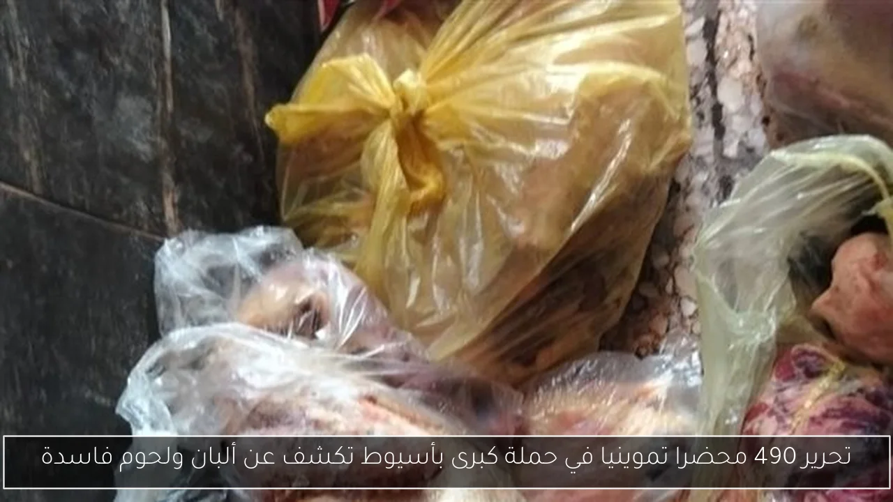 تحرير 490 محضرا تموينيا في حملة كبرى بأسيوط تكشف عن ألبان ولحوم فاسدة